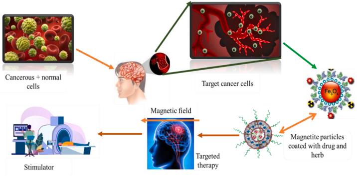 https://cdn.ncbi.nlm.nih.gov/pmc/blobs/f4fc/11219342/c56a3569b86f/ga1.jpg