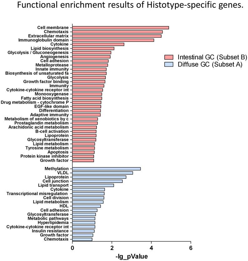 https://cdn.ncbi.nlm.nih.gov/pmc/blobs/f4fc/8126708/f6c492a4da1d/fonc-11-663771-g005.jpg