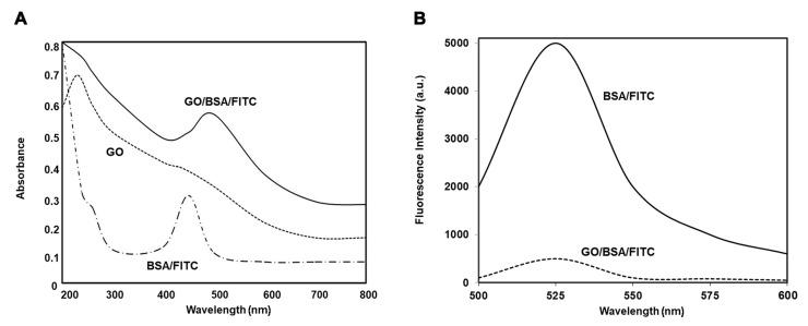 https://cdn.ncbi.nlm.nih.gov/pmc/blobs/f500/10887315/3f81a2f27dd5/biomedicines-12-00256-g002.jpg