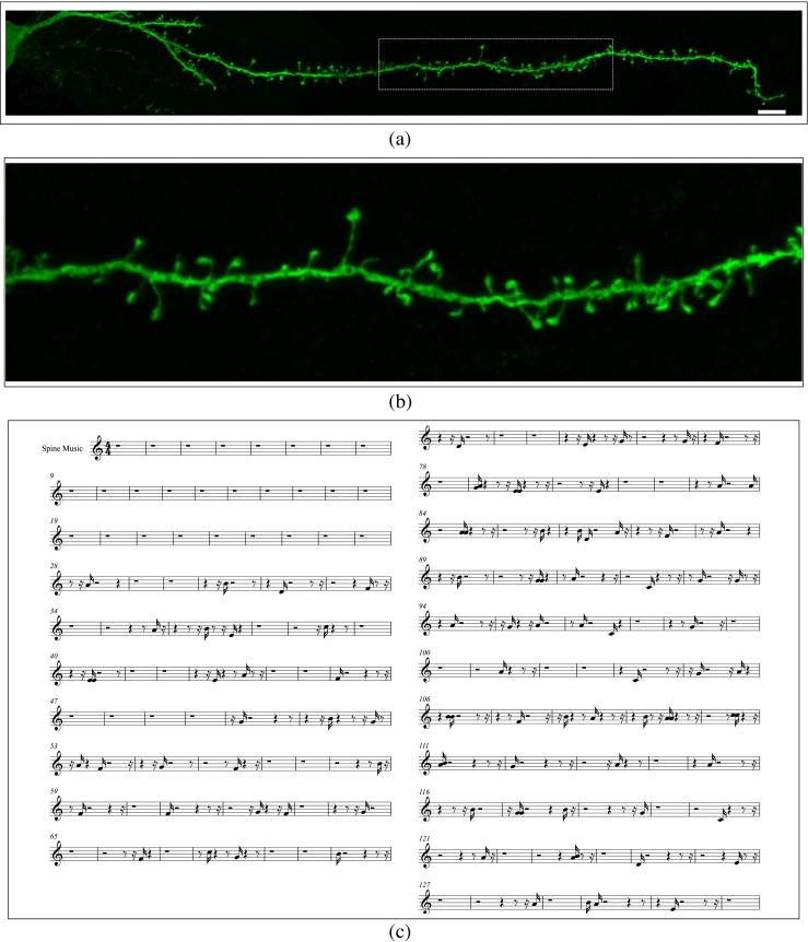 https://cdn.ncbi.nlm.nih.gov/pmc/blobs/f500/4003407/77ea0264c301/12021_2013_9195_Fig5_HTML.jpg