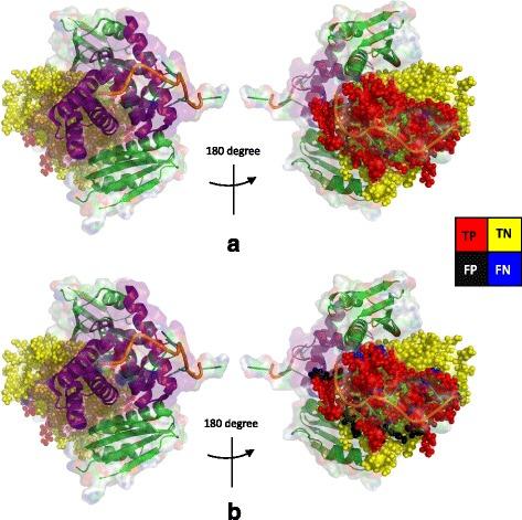 https://cdn.ncbi.nlm.nih.gov/pmc/blobs/f501/5773889/6024da6a7311/12859_2017_1879_Fig8_HTML.jpg
