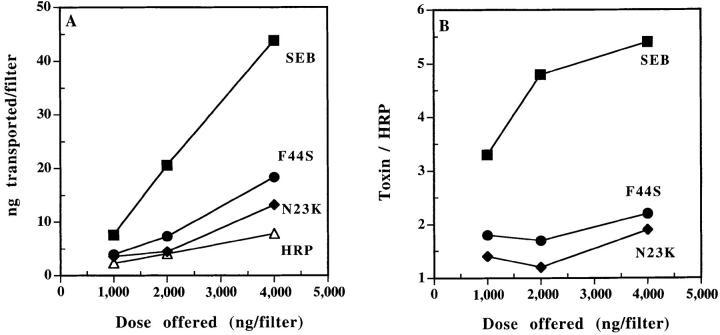 https://cdn.ncbi.nlm.nih.gov/pmc/blobs/f502/2196287/100b53dc1c9d/JEM.hamad4.jpg