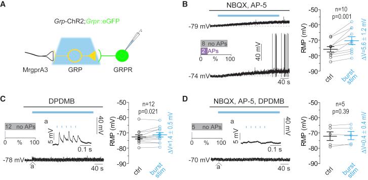 https://cdn.ncbi.nlm.nih.gov/pmc/blobs/f503/6616317/c052ebfc30ca/gr4.jpg