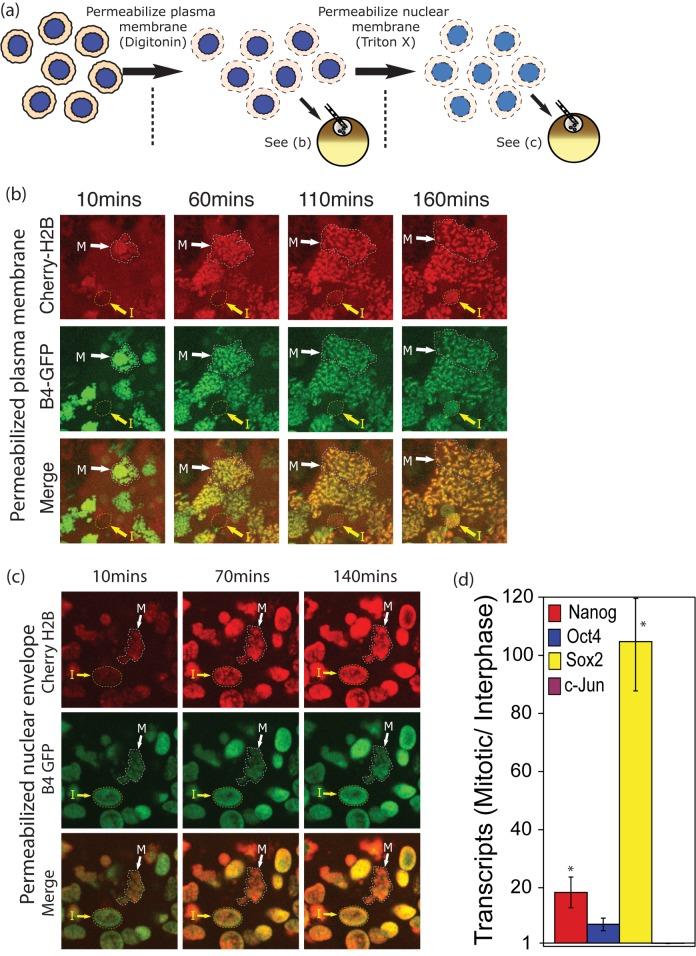 https://cdn.ncbi.nlm.nih.gov/pmc/blobs/f504/4114836/01bc0444c79a/pbio.1001914.g003.jpg