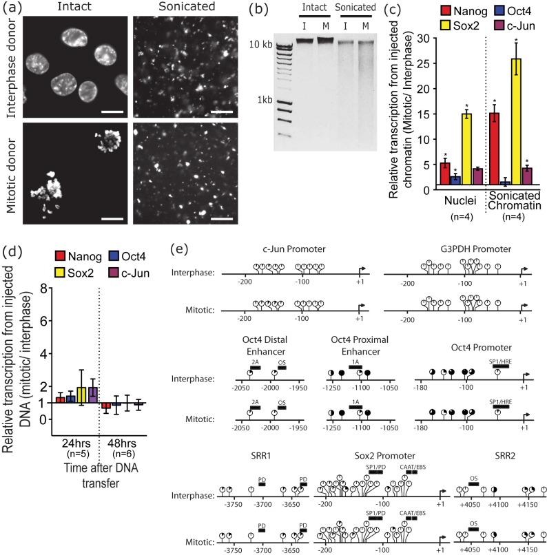 https://cdn.ncbi.nlm.nih.gov/pmc/blobs/f504/4114836/53e42cee6ef6/pbio.1001914.g004.jpg
