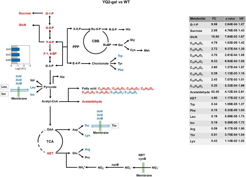 https://cdn.ncbi.nlm.nih.gov/pmc/blobs/f504/8897908/4f1d5d6b1489/12934_2022_1760_Fig6_HTML.jpg