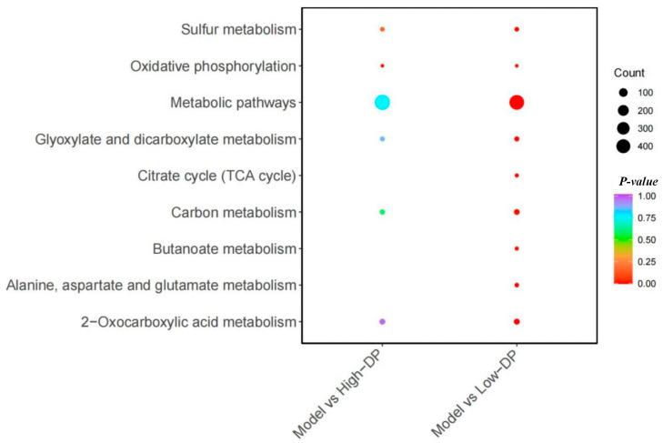 https://cdn.ncbi.nlm.nih.gov/pmc/blobs/f508/11278672/413d261f5b8b/metabolites-14-00351-g011.jpg