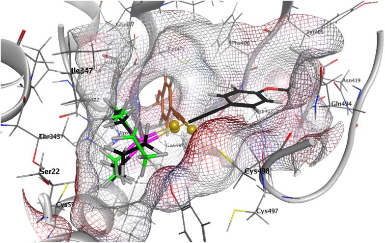 https://cdn.ncbi.nlm.nih.gov/pmc/blobs/f508/11975047/00c6592d598a/d4md00964a-f7.jpg
