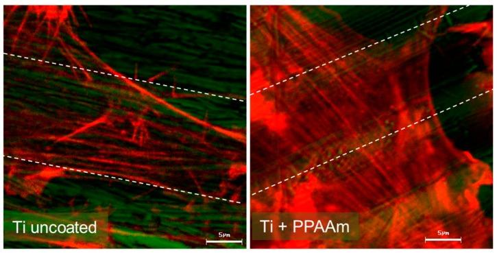 https://cdn.ncbi.nlm.nih.gov/pmc/blobs/f508/6631006/a370d64ad7b1/polymers-11-01004-g001.jpg