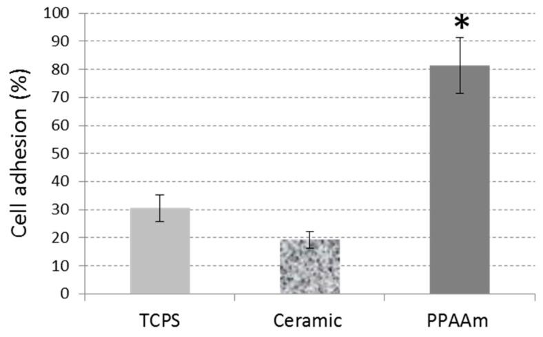 https://cdn.ncbi.nlm.nih.gov/pmc/blobs/f508/6631006/ea48ee606eac/polymers-11-01004-g012.jpg