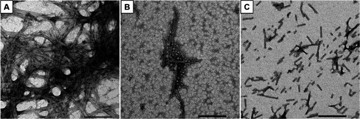 https://cdn.ncbi.nlm.nih.gov/pmc/blobs/f50b/10785335/fb2a98565368/ao3c07453_0011.jpg