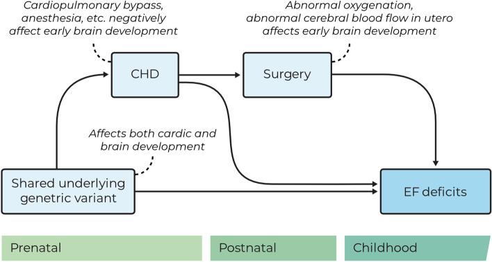 https://cdn.ncbi.nlm.nih.gov/pmc/blobs/f50c/10182651/b210258185cc/11689_2023_9484_Fig2_HTML.jpg