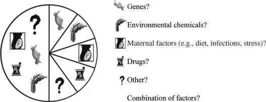 https://cdn.ncbi.nlm.nih.gov/pmc/blobs/f50d/3168222/d44d3cec365a/EHTJ-4-7111-g001.jpg