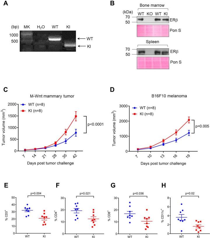https://cdn.ncbi.nlm.nih.gov/pmc/blobs/f50f/7816924/b860cdfe23ff/jitc-2020-001932f01.jpg