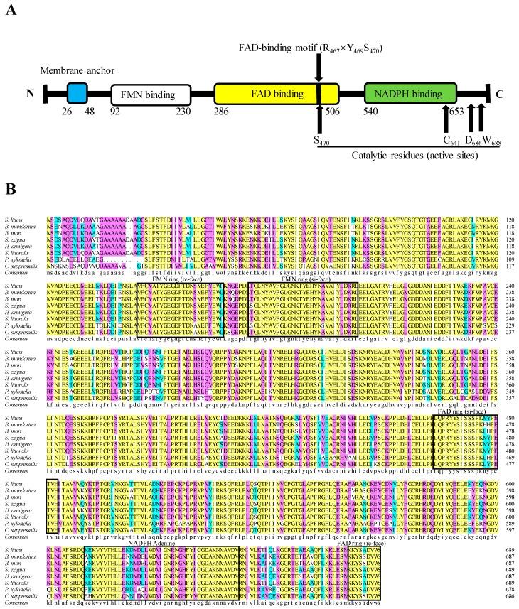 https://cdn.ncbi.nlm.nih.gov/pmc/blobs/f511/6696589/5790b17f93b0/ijms-20-03839-g001.jpg