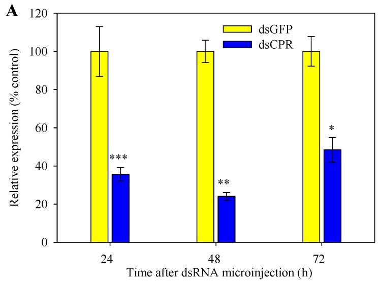 https://cdn.ncbi.nlm.nih.gov/pmc/blobs/f511/6696589/bc7af2d6b177/ijms-20-03839-g005a.jpg