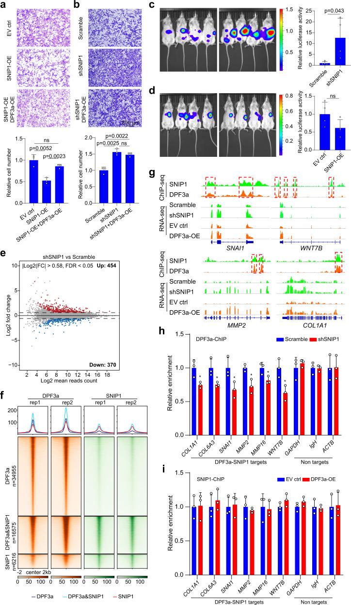 https://cdn.ncbi.nlm.nih.gov/pmc/blobs/f513/9363427/d1f11913d8ca/41467_2022_32472_Fig5_HTML.jpg