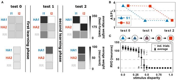 https://cdn.ncbi.nlm.nih.gov/pmc/blobs/f515/7575689/a403745b8c9e/fncir-14-541728-g0002.jpg