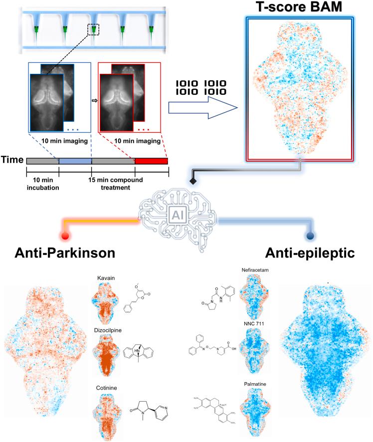 https://cdn.ncbi.nlm.nih.gov/pmc/blobs/f51a/12268937/753a4a77cc62/gr1.jpg