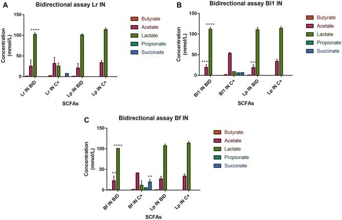 https://cdn.ncbi.nlm.nih.gov/pmc/blobs/f51b/11126519/d398e2b28733/12602_2023_10083_Fig5_HTML.jpg