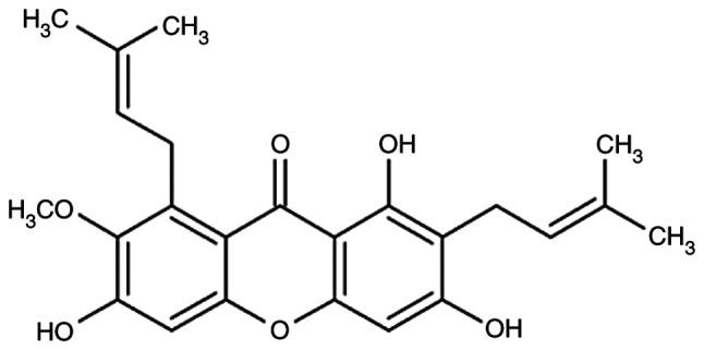 https://cdn.ncbi.nlm.nih.gov/pmc/blobs/f51c/9354700/8a5e68fc9cd9/IJMM-50-3-05176-g00.jpg