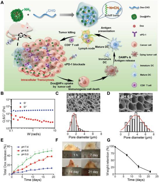 https://cdn.ncbi.nlm.nih.gov/pmc/blobs/f51f/10797422/21e30d3d8ce3/ADVS-11-2305217-g003.jpg
