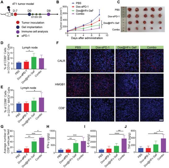 https://cdn.ncbi.nlm.nih.gov/pmc/blobs/f51f/10797422/2cbbe35e4831/ADVS-11-2305217-g002.jpg