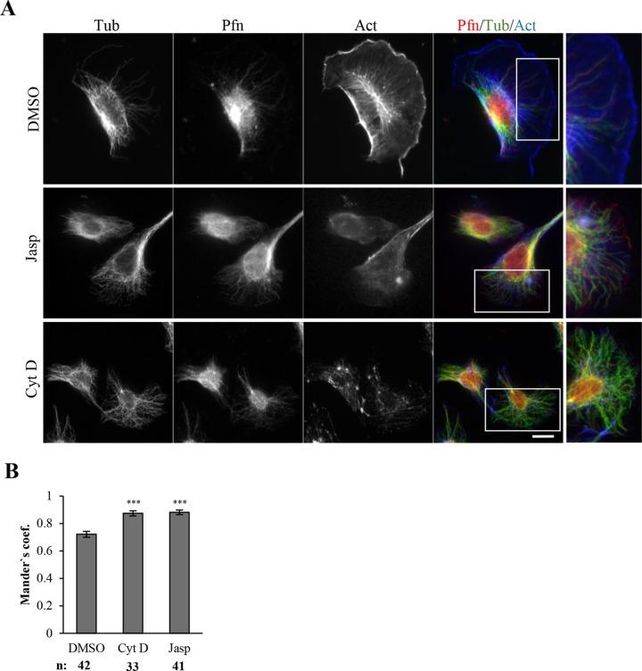 https://cdn.ncbi.nlm.nih.gov/pmc/blobs/f521/4966980/99b8a5590a29/2381fig3.jpg
