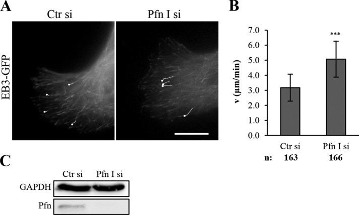https://cdn.ncbi.nlm.nih.gov/pmc/blobs/f521/4966980/bf59fcc66664/2381fig7.jpg