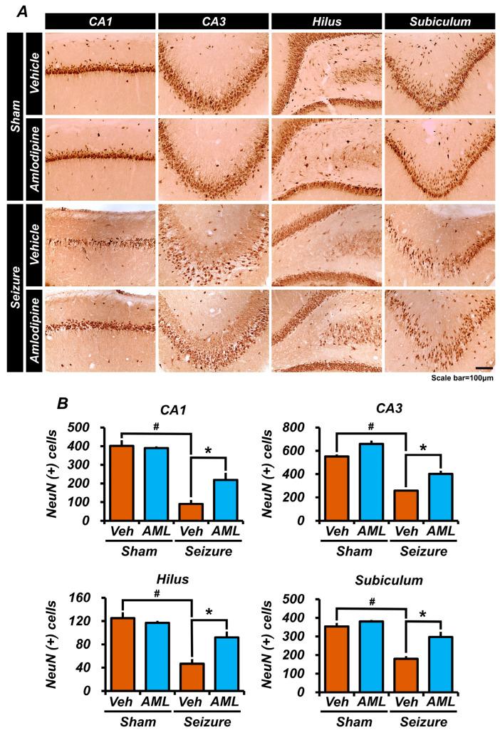 https://cdn.ncbi.nlm.nih.gov/pmc/blobs/f522/11047745/119146e6d18f/antioxidants-13-00389-g003.jpg