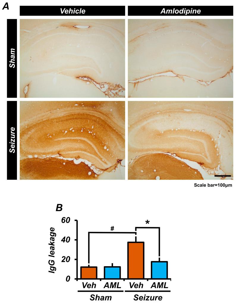 https://cdn.ncbi.nlm.nih.gov/pmc/blobs/f522/11047745/9a84b655ca69/antioxidants-13-00389-g004.jpg