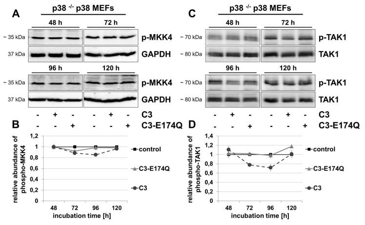 https://cdn.ncbi.nlm.nih.gov/pmc/blobs/f523/5630077/b0db5544cd3a/jms-12-148-g4.jpg
