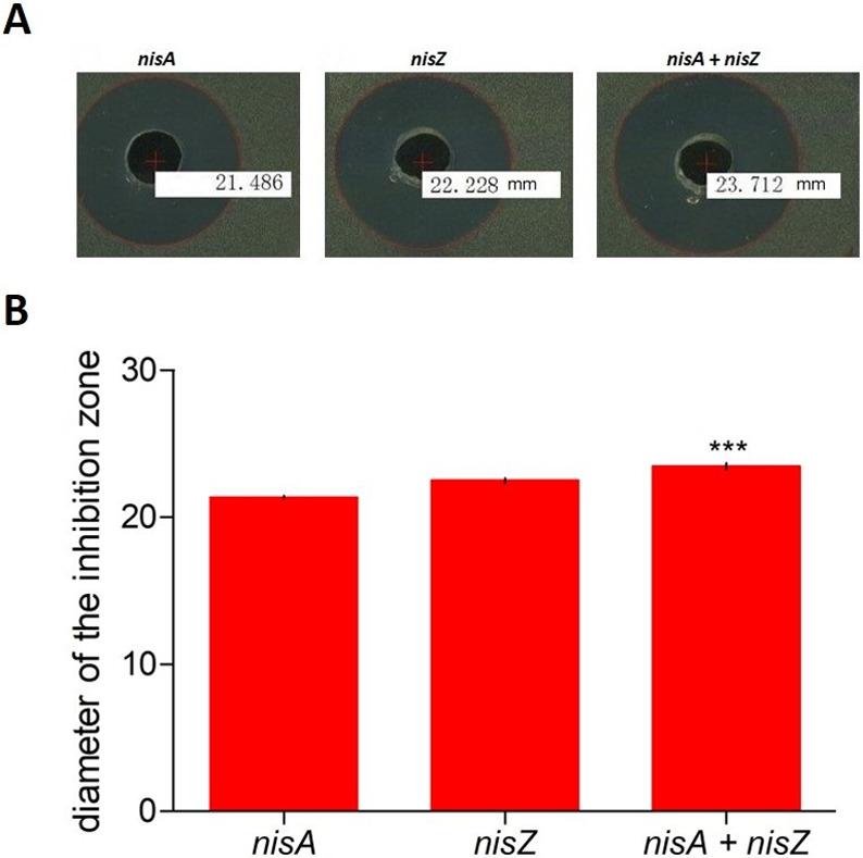 https://cdn.ncbi.nlm.nih.gov/pmc/blobs/f524/10085027/37a3e6b5a93b/pone.0281175.g005.jpg