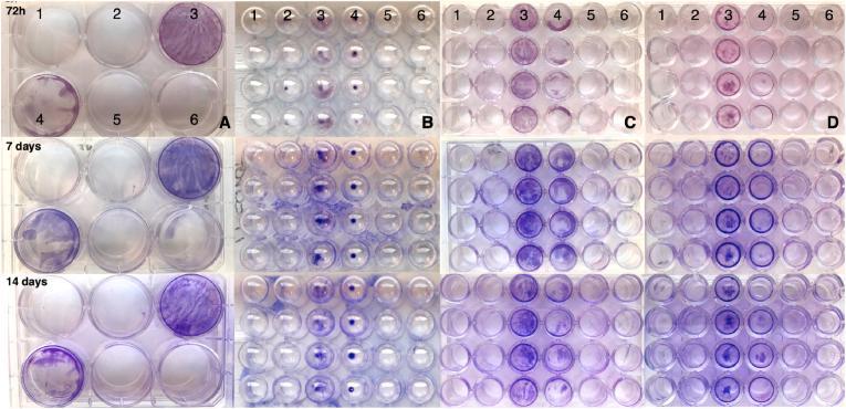 https://cdn.ncbi.nlm.nih.gov/pmc/blobs/f524/10955283/590b55fb8304/gr3.jpg