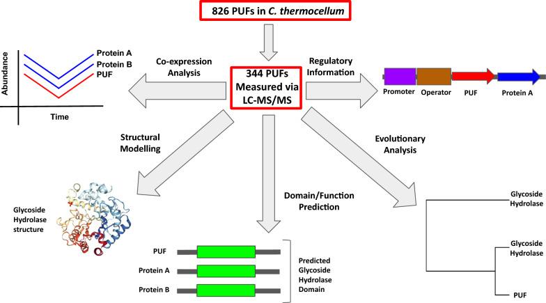 https://cdn.ncbi.nlm.nih.gov/pmc/blobs/f524/8112048/2f5bc85cfa19/13068_2021_1964_Fig1_HTML.jpg