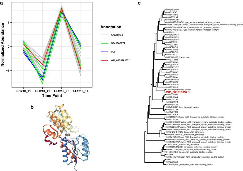 https://cdn.ncbi.nlm.nih.gov/pmc/blobs/f524/8112048/3c411806c846/13068_2021_1964_Fig4_HTML.jpg