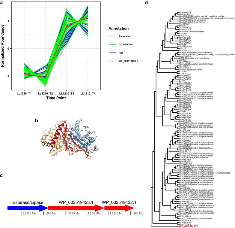 https://cdn.ncbi.nlm.nih.gov/pmc/blobs/f524/8112048/f44254dbd9eb/13068_2021_1964_Fig6_HTML.jpg
