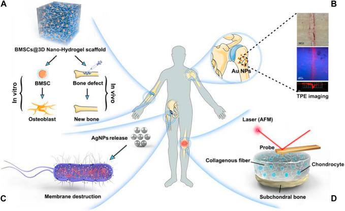 https://cdn.ncbi.nlm.nih.gov/pmc/blobs/f525/10446844/2f5abe630e04/fbioe-11-1221365-g005.jpg