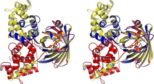 https://cdn.ncbi.nlm.nih.gov/pmc/blobs/f525/2649101/f7ebbb88108e/zbc0110967400003.jpg