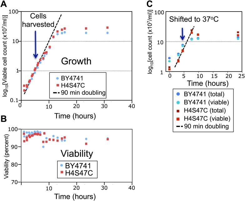 https://cdn.ncbi.nlm.nih.gov/pmc/blobs/f527/3983907/3e8eaa09de29/elife01861fs002.jpg
