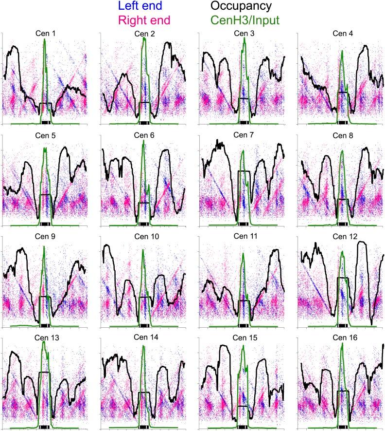 https://cdn.ncbi.nlm.nih.gov/pmc/blobs/f527/3983907/725b12888f51/elife01861fs006.jpg