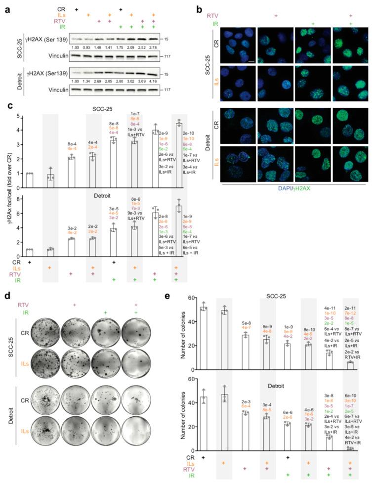 https://cdn.ncbi.nlm.nih.gov/pmc/blobs/f528/12346649/9ebe1d16867c/cancers-17-02519-g005.jpg