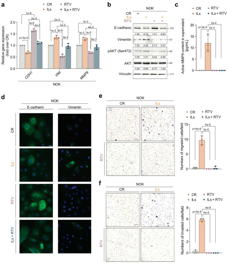 https://cdn.ncbi.nlm.nih.gov/pmc/blobs/f528/12346649/c17af473d7eb/cancers-17-02519-g002.jpg