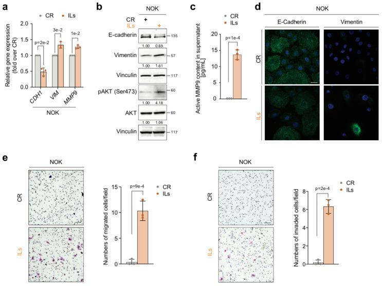 https://cdn.ncbi.nlm.nih.gov/pmc/blobs/f528/12346649/df9654ac80dd/cancers-17-02519-g001.jpg