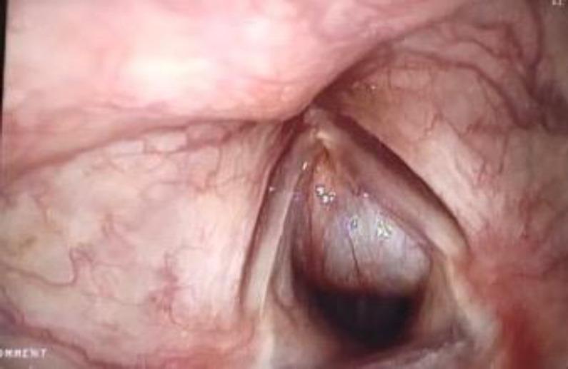 https://cdn.ncbi.nlm.nih.gov/pmc/blobs/f529/9515991/b4f5715b46d4/ijo-34-253-g001.jpg