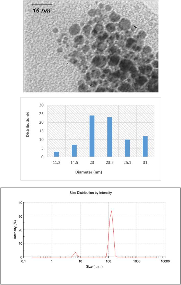https://cdn.ncbi.nlm.nih.gov/pmc/blobs/f52a/10190534/5942fa75a7e1/NBT2-17-234-g003.jpg