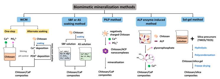 https://cdn.ncbi.nlm.nih.gov/pmc/blobs/f52a/7587527/996bdbee73f5/molecules-25-04785-g001.jpg