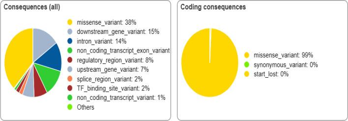 https://cdn.ncbi.nlm.nih.gov/pmc/blobs/f52b/10558407/3415d0a09248/43141_2023_551_Fig1_HTML.jpg