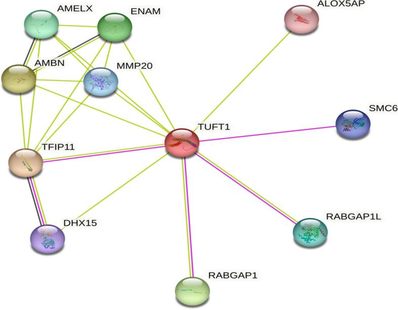 https://cdn.ncbi.nlm.nih.gov/pmc/blobs/f52b/10558407/3d09ee538ad9/43141_2023_551_Fig4_HTML.jpg