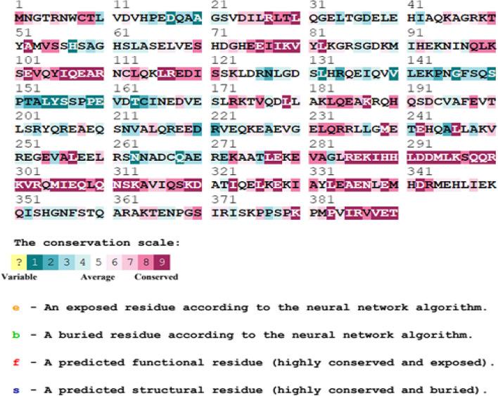 https://cdn.ncbi.nlm.nih.gov/pmc/blobs/f52b/10558407/c9f8d9ea3df6/43141_2023_551_Fig2_HTML.jpg